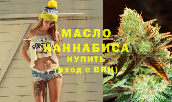 spice Дмитриев