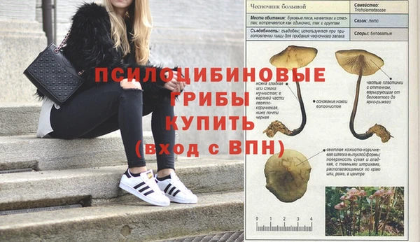 дистиллят марихуана Гусев
