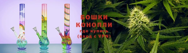 spice Дмитриев