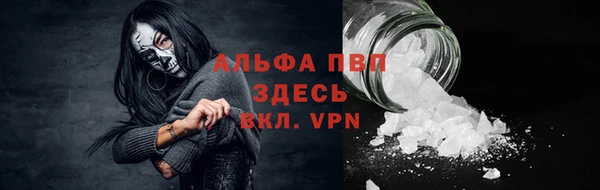 гашик Гусь-Хрустальный