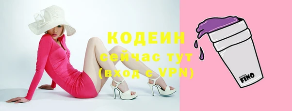 spice Дмитриев