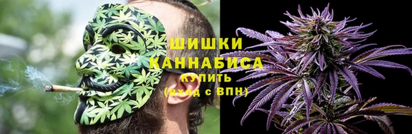 mix Гусиноозёрск