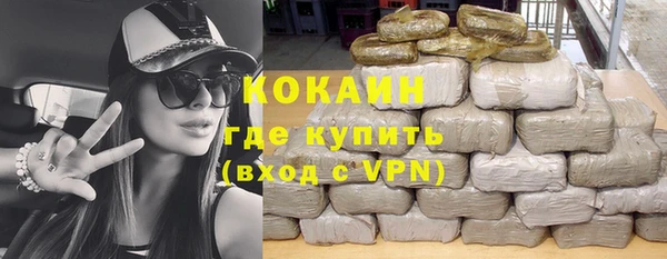 spice Дмитриев