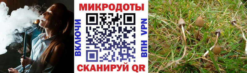 Галлюциногенные грибы мицелий  Купить  Новоузенск 